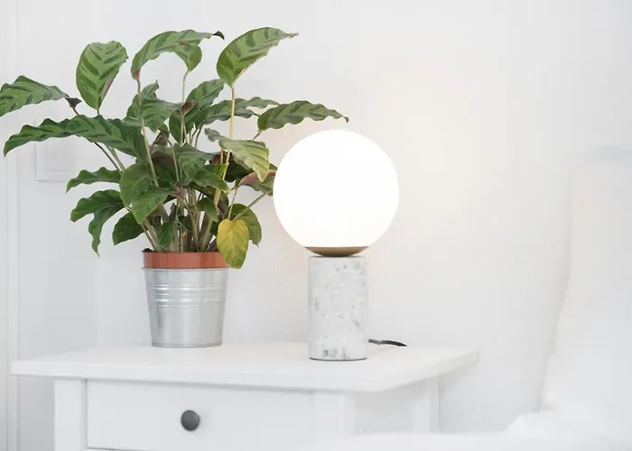 Comfy By Olala Homes *